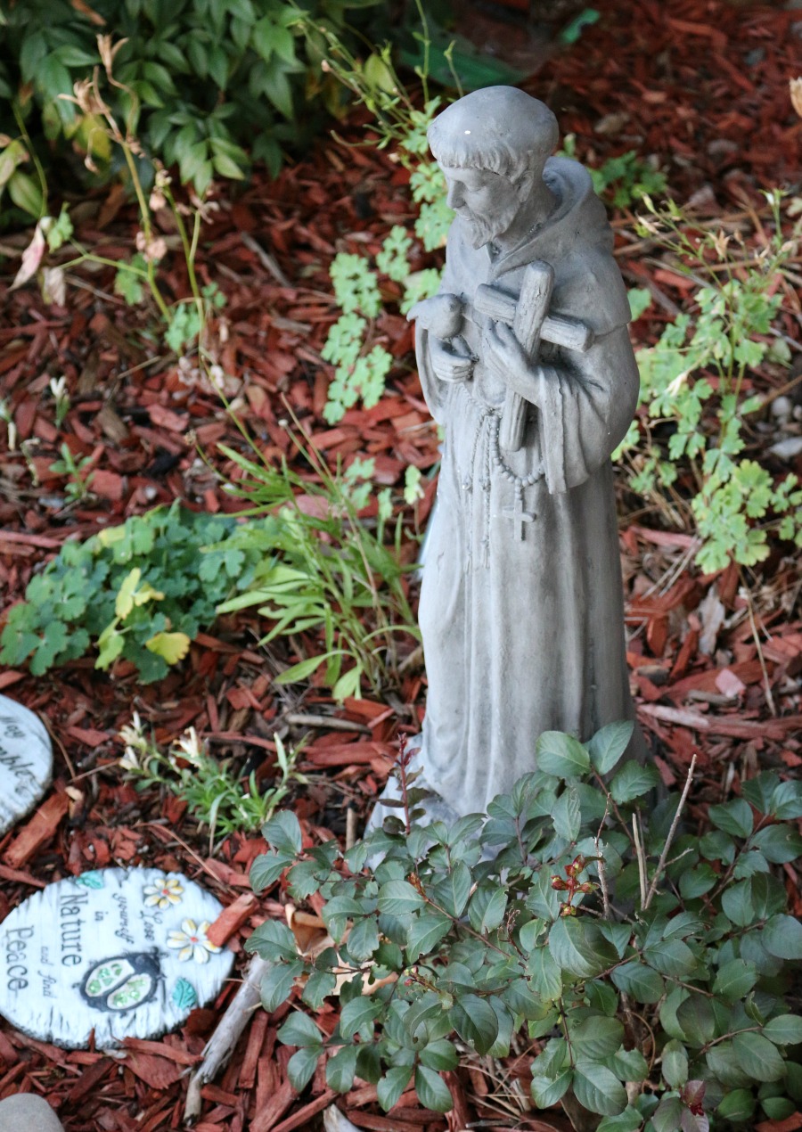 Saint Frances in my Garden