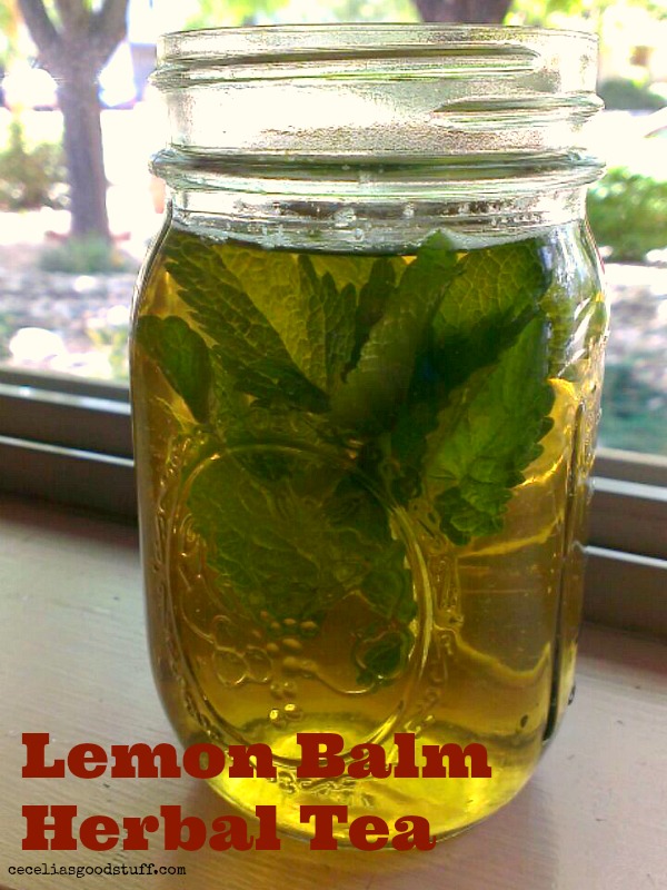Lemon Balm Tea 