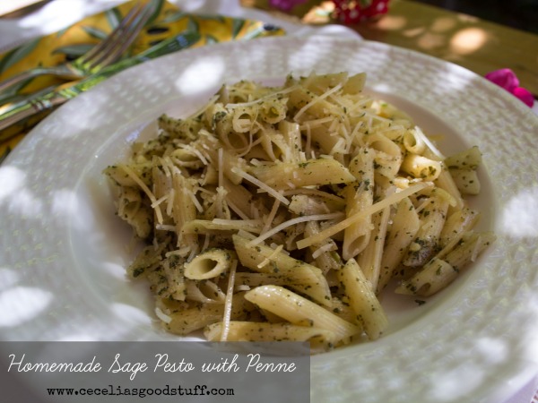 Sage Pesto with Penne Pasta CeceliasGoodStuff.com | Good Food for Good People