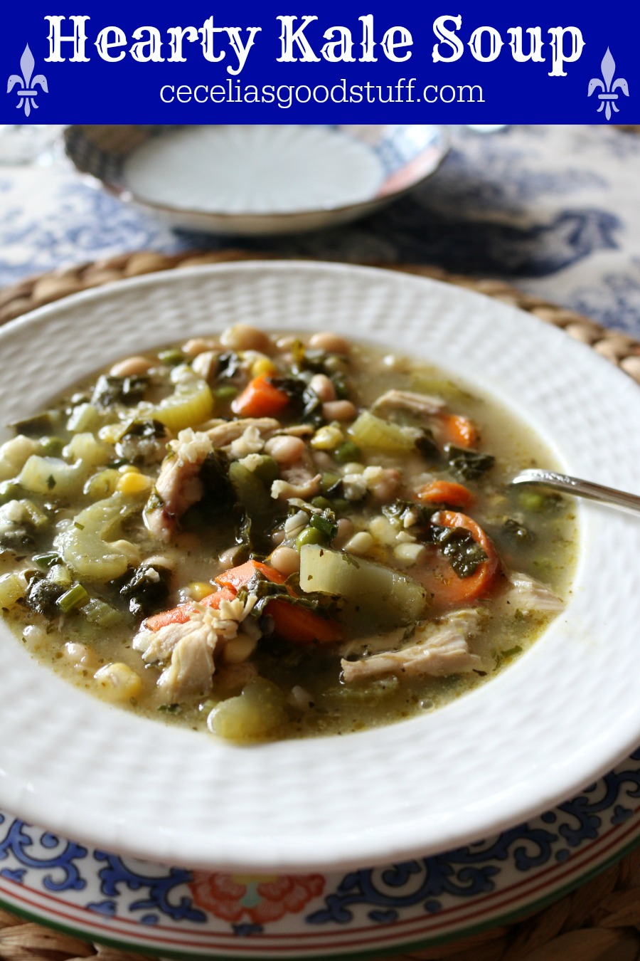 Hearty Kale Chicken Soup