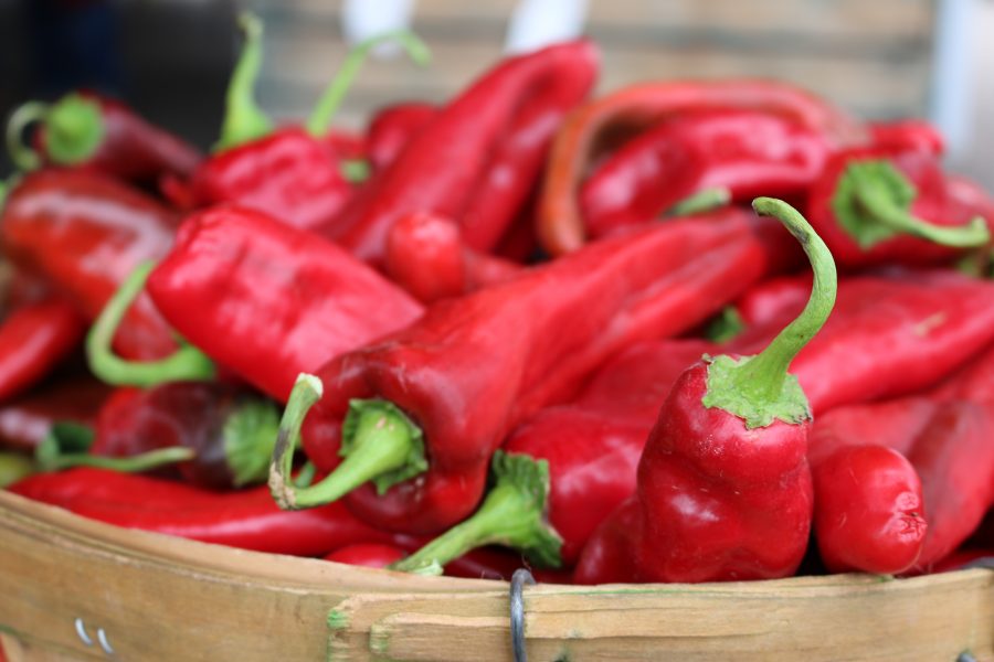  New Mexico Red Chiles  CeceliasGoodStuff.com| Good Food for Good People 
