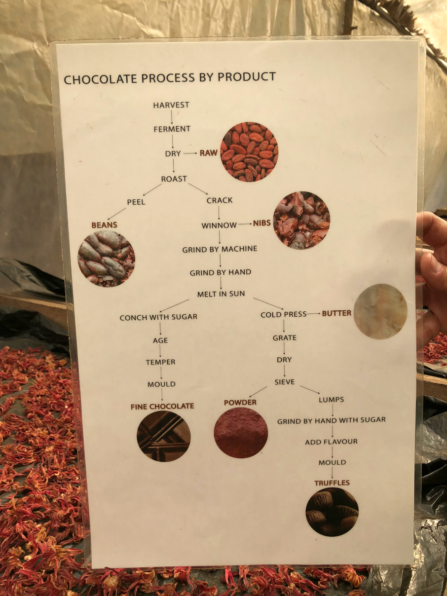 A diagram of the cocoa bean process La Iguana Chocolate, Costa Rica