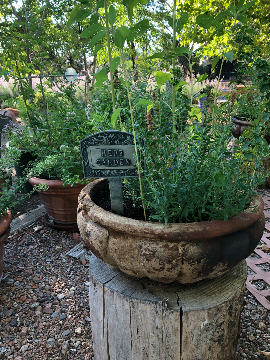 My herb garden in Albuquerque, NM, USA. I grow over 40 varieties of fresh herbs. CeceliasGoodStuff.com 